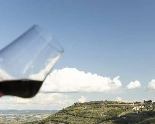 Classic Wine Tasting in Montalcino