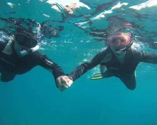 エイの湾でのシュノーケリングツアー