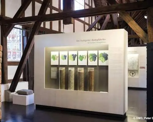 Stuttgart wine museum entrance ticket