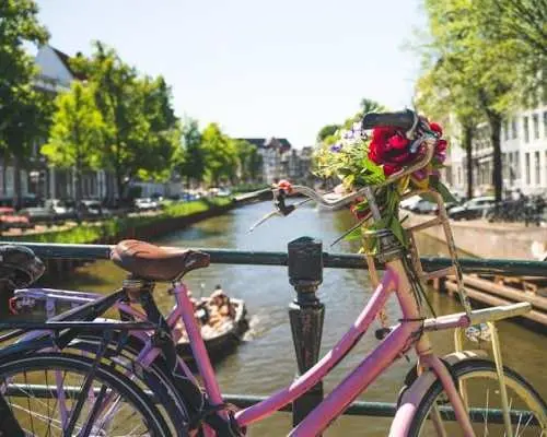 Amsterdam countryside bike tour with windmills