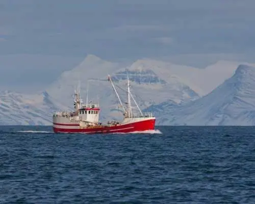 In-App Self-Guided Walking Tour to Discover Reykjavik