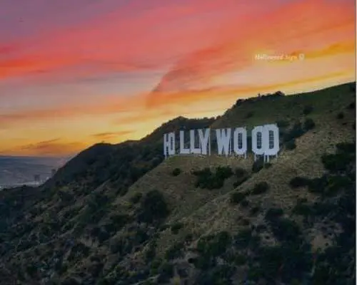 Best of Hollywood Guided Night Tour