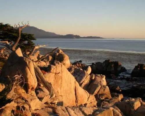 Monterey and Carmel full-day tour from San Francisco