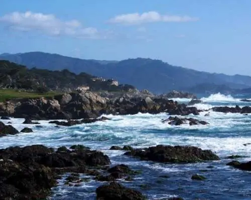 Monterey, Carmel and The 17-Mile Drive tour
