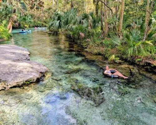 Rock Springs river tubing and Apopka Wildlife Trail with hotel pickup