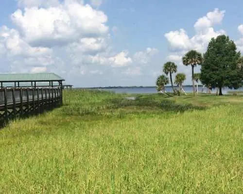 Wild Florida 1-hour ultimate airbot adventure with transportation