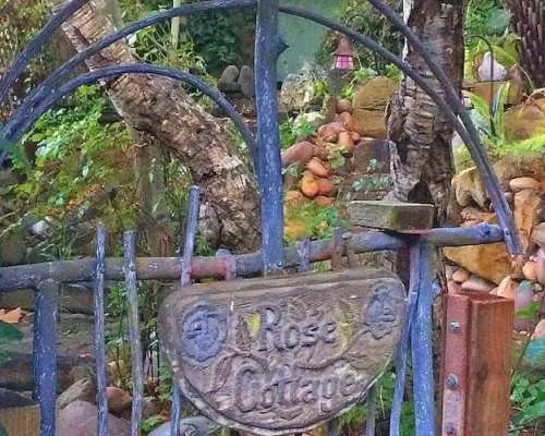 カーメル・バイ・ザ・シーの穴場スポットを巡るセルフガイド音声ツアー