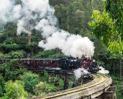 Melbourne, Australia | Puffing Billy Steam Train Half-Day Tour [English Service/Tips Included/Round-trip Bus Service/Multilingual Guided Tour]