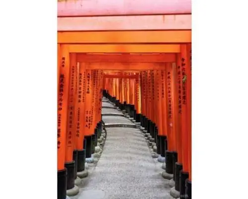 【京都・宇治・奈良】伏見稲荷神社  清水寺   錦市場／day１   平等院 宇治川 ・奈良公園  東大寺 春日大社／day ２　一泊二日