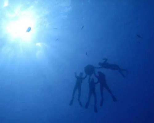 English: Blue Cave Snorkeling Adventure Tour (Okinawa, Onna Village)