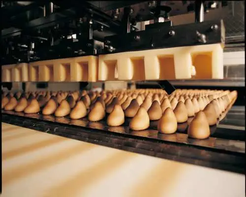 Yokabus Fukuoka Hiyoko Sweets Factory, Frog Temple & Seasonal Fruit Picking