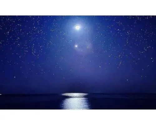【沖縄・宮古島】“森でどきどき”星空・ヤシガニツアー