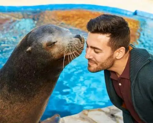 Vé vào cửa Aqualandia và Mundomar