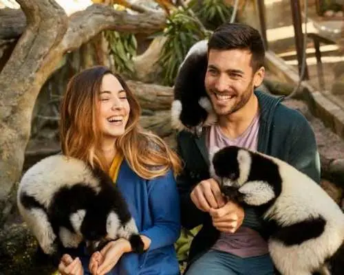 Vé vào cửa Aqualandia và Mundomar
