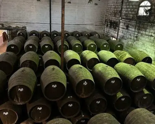 在加的斯省奇克拉纳德拉弗龙特拉参观酒庄并品尝葡萄酒