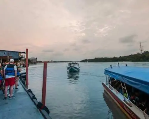 Fireflies tour with boat ride & seafood dinner