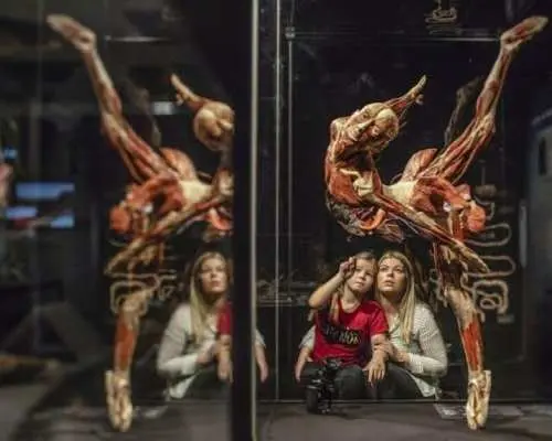 Body Worlds exhibition in Münster