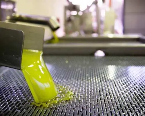 Olive Oil Tasting in a Masseria