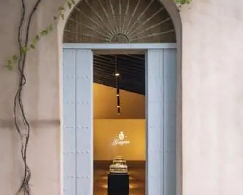 Seville Bodegas Góngora sensory tour with tasting experience