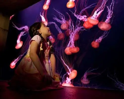 Atlantis Aquarium "The Lost World" tickets