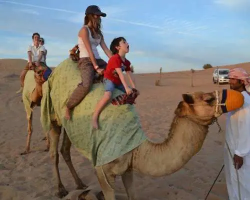 Camel ride with optional dinner at the camp in Ras Al Khaimah