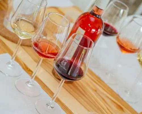 在当地农场品尝葡萄酒和橄榄油