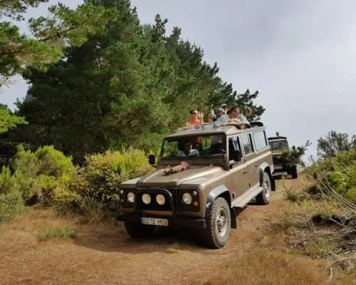Northern wonders & Porto Moniz lava pools on open roof 4x4 tour