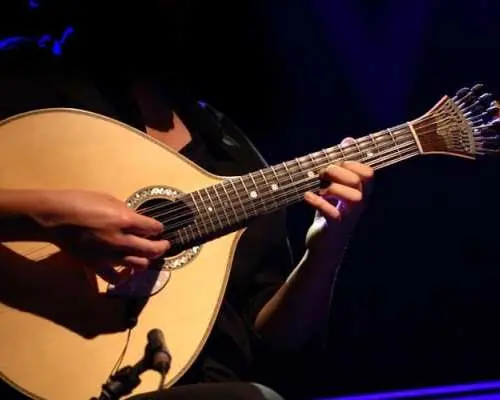 Lisbon night guided tour with dinner and fado show