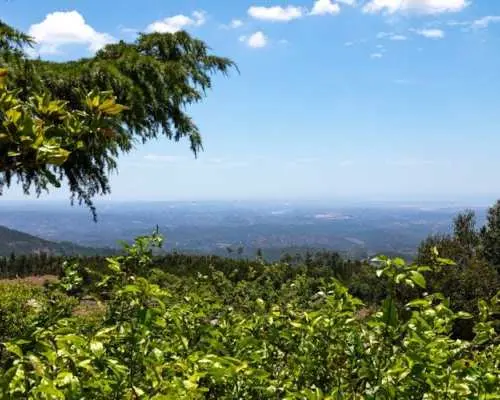 Guided Silves and Monchique mountains tour in the Algarve