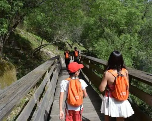 Paiva Walkways Guided Tour with 516 Arouca Bridge