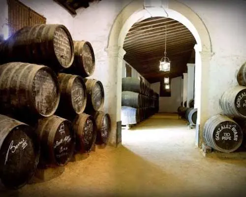 Jerez tour with Andalusian horse dancing and sherry tasting