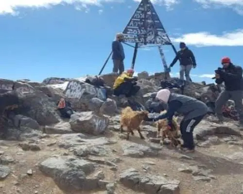 從馬拉喀什出發的圖卜卡勒山兩日健行之旅