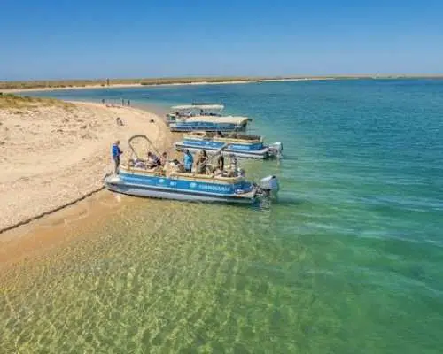 Deserta and Farol islands boat trip from Faro