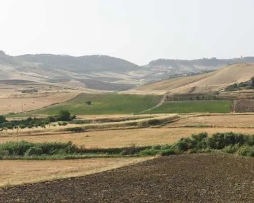 Sensory Walk with Lunch in the Caltagirone Countryside