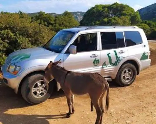 4x4 tour of the Golgo Plateau in Baunei from Arbatax