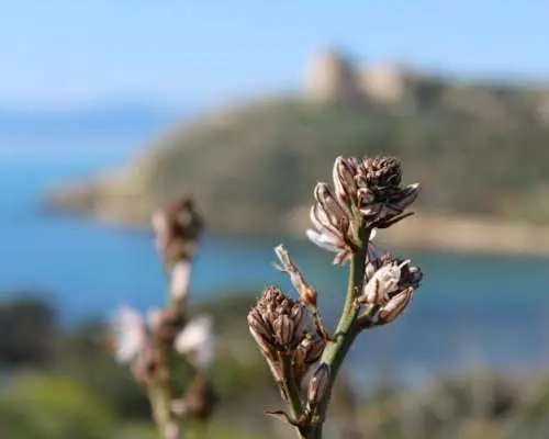 Guided hike to the Devil's Saddle in Cagliari