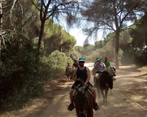 Horseback Riding in Doñana National Park from Seville