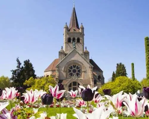 Explore Basel in 1 hour with a local