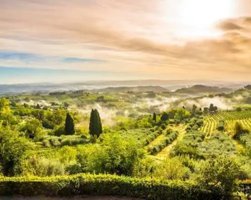 Siena and San Gimignano from Rome: Tuscany wine tour in a small group