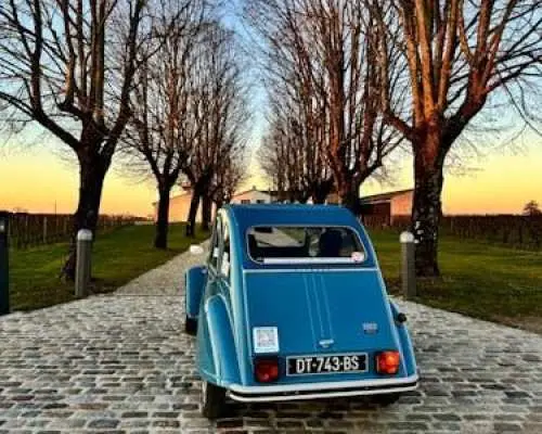 Saint-Émilion and Pomerol private full-day tour in a classic car