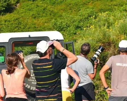 撒丁島四驅車自然之旅