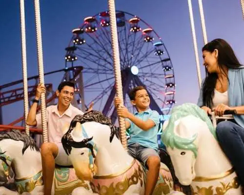 Wooland Holiday World Ticket