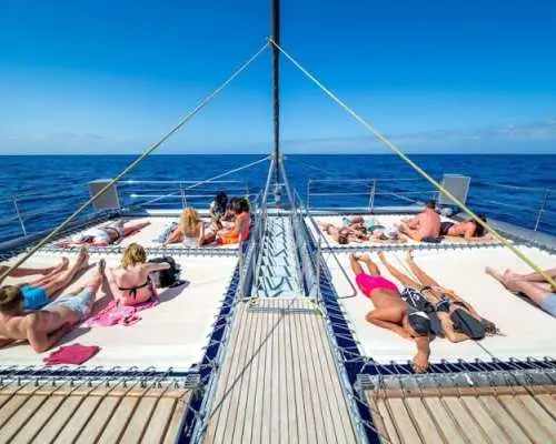 Fuerteventura magic catamaran cruise