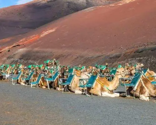 Timanfaya National Park lunar route tour