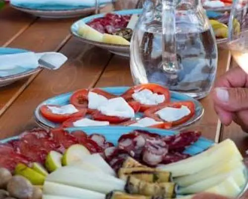 Winery with Tasting in Dorgali