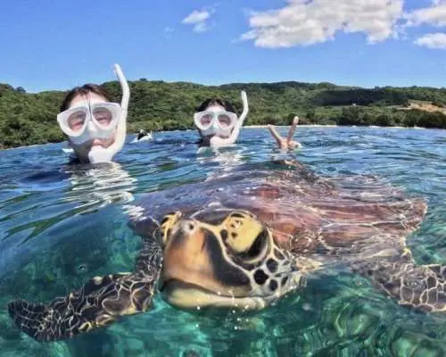 [Ishigaki Island/3 hours] Landing on the Phantom Island & Fish and Coral Snorkeling Tour ★ GoPro data, equipment, and transfers free | Same-day booking available, ages 0-85 OK