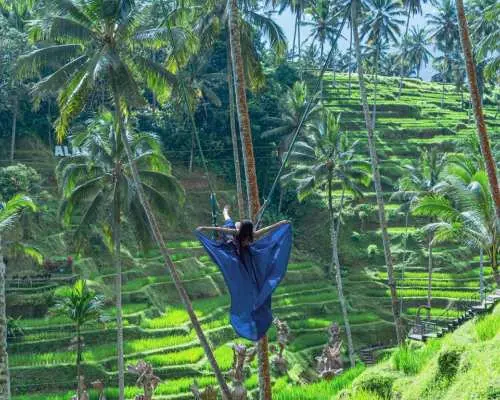 Alas Harum Bali: Swing, Skybike, and Zipline