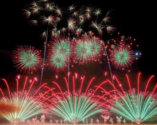 Exclusive Nov 14, 2026 Nishi-Awa Fireworks & Naoshima Island 2 Day Bus Tour from Osaka