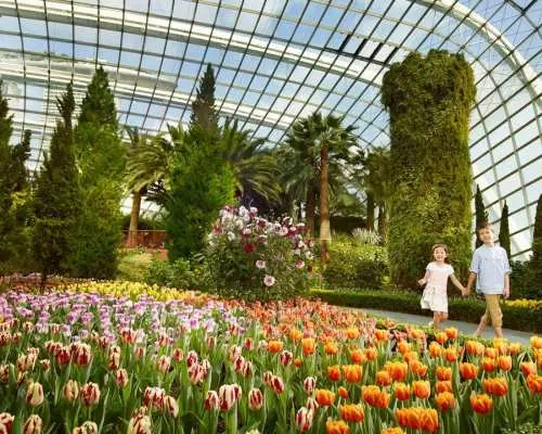 套票：濱海灣花園 + 新加坡國立蘭花園門票