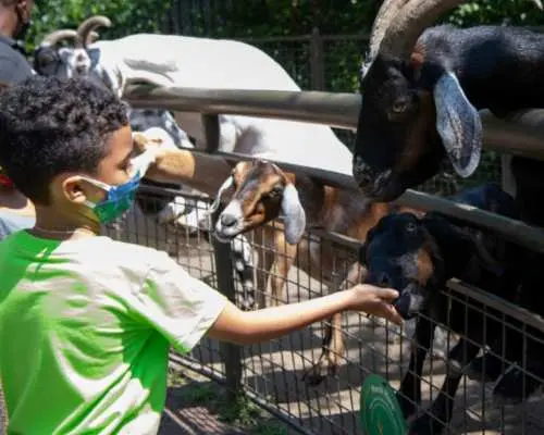 Central Park Zoo